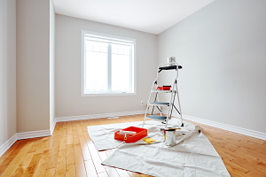 Interior Home painting